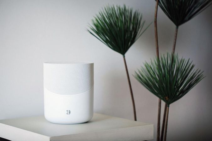 White cylindrical wireless speaker on a bright shelf next to a green plant