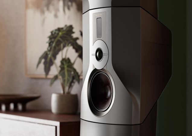 Close view of a silver speaker with a plant blurred in the background