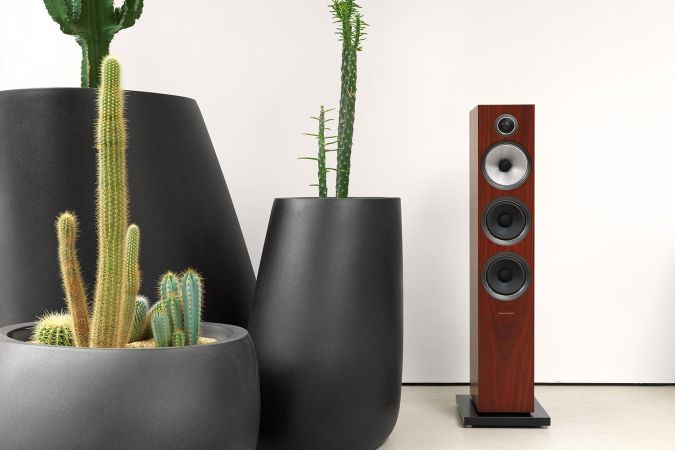 A tall, elegant wooden speaker displayed next to large, modern planters with various cactus plants, creating a chic contrast.